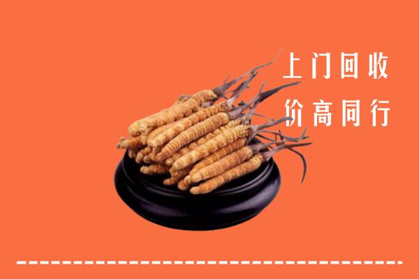 高价求购：开封市龙亭回收散虫草