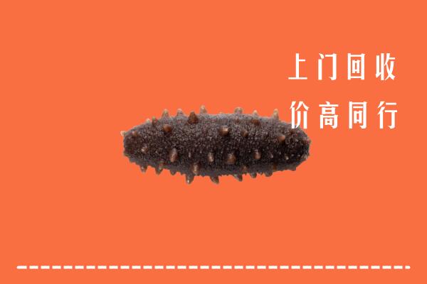 高价求购：开封市龙亭回收海参