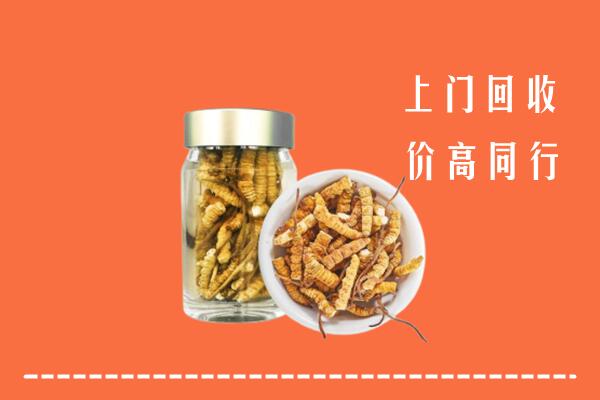 开封市龙亭回收冬虫夏草