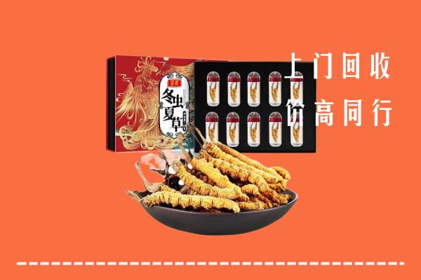 开封市龙亭回收虫草